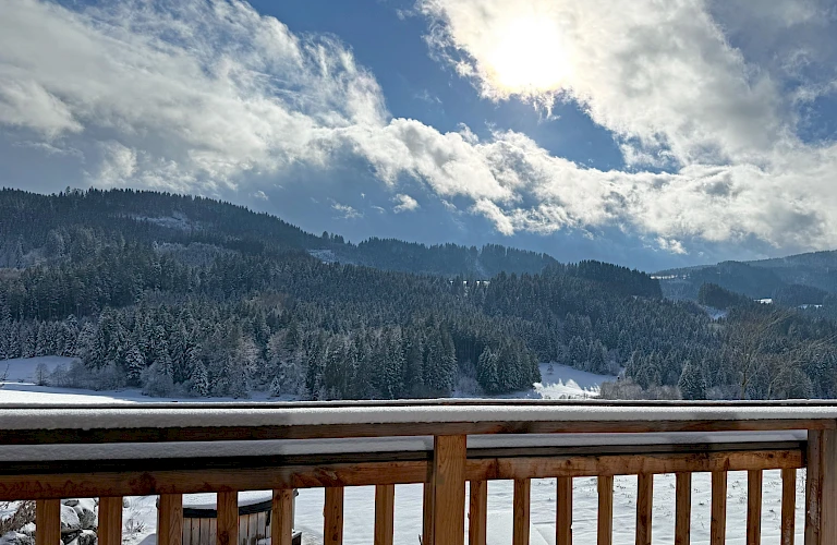 Ausblick vom Balkon im Winter